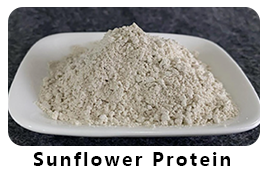 Sunflower Protein Powder